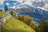 Blick von Zedlach zum Iseltal mit Rotenkogel (2.762 m), Virgental, Osttirol, Tirol, Österreich