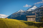 Cow pasture and hut in the Virgental near Obermauern, East Tyrol, Tyrol, Austria