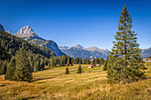 Gaistal mit Blick auf die Mieminger Kette, Ehrwald in Tirol, Tirol, Österreich