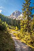 Hiking trail to Seebensee in the Gaistal with a view of the Rauher Kopf, Ehrwald in Tirol, Tyrol, Austria