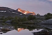 Örfjellet, Saltfjellet-Svartisen Nationalpark, Nordland, Norwegen