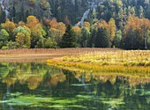 autumnal Brunnsee, Salzatal, Styria, Austria