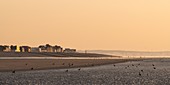 Frankreich, Somme, Baie de Somme, La Mollière d'Aval, Cayeux-sur-Mer, Cayeux-sur-Mer vom Strand bei Sonnenuntergang