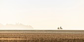 Frankreich, Somme, Baie de Somme, Naturschutzgebiet der Baie de Somme, Le Crotoy, Reiter spazieren bei Ebbe in der Bucht (Baie de Somme), die Silhouette von Le Crotoy taucht aus dem Nebel auf
