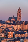 Frankreich, Aveyron, Rodez, Kathedrale Notre Dame de Rodez, aufgeführt an Great Tourist Sites in Occitanie