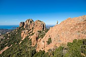 France, Var, Esterel massif, Saint Raphael's common Agay, walker on the massif of the Cap Roux, in background the summit of the Saint Pilon (442m)