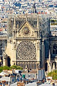 France, Paris, area listed as World heritage by UNESCO, Ile de la Cite, Notre Dame Cathedral South facade, rose window