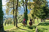 France, Haute Savoie, Mieussy, horse riding along the Giffre from Sommand, in the alpine pastures