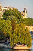 France, Paris, area listed as World Heritage by UNESCO, the Ile de la Cite