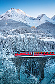 Bernina Express train in the winter forest covered with snow surrounding Tarasp Castle, Engadine, Graubunden Canton, Switzerland,  Europe