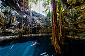 Cenote Oxmal, Valladolid, Yucatan, Mexico, North America