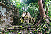 Archaeological Maya site of Yaxchilan in the jungle of Chiapas, Mexico, North America
