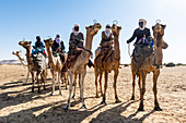 Tuaregs on their camels, Bilma, Tenere desert, Niger, West Africa, Africa