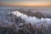 Flooded ditch and frost on coastal grazing marsh, Elmley National Nature Reserve, Isle of Sheppey, Kent, England, United Kingdom, Europe