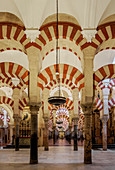 Mezquita-Catedral, cathedral inside the former Great Mosque of Cordoba, interior, UNESCO World Heritage Site, Cordoba, Andalusia, Spain, Europe