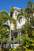 Blick durch Palmen zur Fassade eines typischen Holzhauses, Altstadt, Key West, Florida Keys, Florida, Vereinigte Staaten von Amerika, Nordamerika
