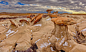 Sand Castle formations on the edge of the Red Basin in Petrified Forest National Park, Arizona, United States of America, North America