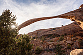 Landscape Arch with sunburst through tree, Arches National Park, Utah, United States of America, North America
