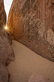 Sunburst over a sandy dune, Arches National Park, Utah, United States of America, North America