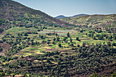 Landscape of farms in the Atlas mountains region, Morocco, North Africa, Africa