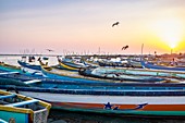 Sri Lanka, nördliche Provinz, Insel Mannar, Stadt Mannar, der Fischereihafen