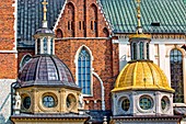 Poland, Lesser Poland region, Krakow, old town (Stare Miasto) listed as World Heritage by UNESCO, Wawel Hill, the Cathedral basilica of Sts Stanislaw and Vaclav, Sigismund's Chapel with a golden dome 