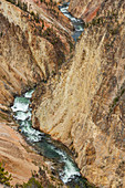 USA, Wyoming, Yellowstone-Nationalpark, Yellowstone-Fluss fließt durch den Grand Canyon im Yellowstone-Nationalpark