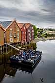 Pub, pub, restaurant Den Gode Nabo on pontoon terrace in front of old warehouses along the Nidelva, Trondheim, Norway