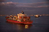 Container ship Delos Wave at anchor in the evening light, Manila, National Capital Region, Philippines, Asia