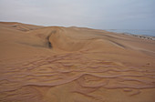 Angola; in the southern part of Namibe Province; northern part of the Namib Desert; Iona National Park; Sand dunes on the Atlantic coast