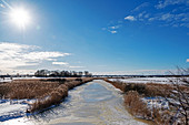 Winter impression of the Oldenburg Graben in Grube, Ostholstein, Schleswig-Holstein, Germany