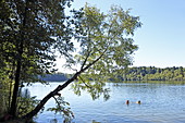 Steinsee, Moosach, Upper Bavaria, Bavaria, Germany