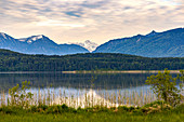 View over the water to the mountains in the evening light in the moor areas at the Staffelsee, Murnau, Upper Bavaria, Germany