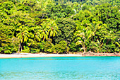 Tropical beach, Manuel Antonio National Park, Quepos, Costa Rica