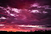 Sunrise in the outback at Mirima National Park, Kununurra, The Kimberley, Western Australia, Australia.