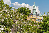 Spitzhaus ein Wahrzeichen in den Weinbergen von Radebeul, Sachsen, Deutschland