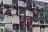 Reflektionen des Blumenpuppy in Fassaden vor dem Guggenheim Museum, Bilbao, Baskenland, Spanien