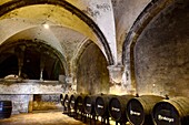 Im Kloster Eberbach bei Eltville am Rhein, Hessen, Deutschland