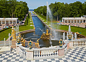 Peterhof, Petergóf bei St. Petersburg, Blick vom Großen Palast zum Unteren Park, Finnischer Meerbusen, Russland, Europa