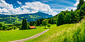 Alpine pasture, behind it the Grünten, 1783m, Oberallgäu, Bavaria, Germany, Europe