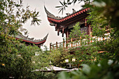 Temple at Wenshu Monastery in Chengdu, Sichuan Province, China, Asia