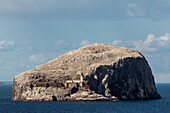 Bass Rock, bird island with gannet colony, lighthouse, Scotland, UK