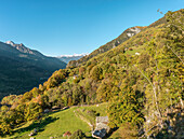 Chestnut farm near Soglio in the Bergell valley in autumn, Graubünden, Switzerland