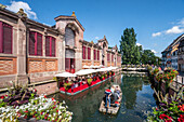 Markthalle in Klein Venedig, Holzboot mit Touristen, Kanal, Colmar, Elsass, Frankreich, Europa
