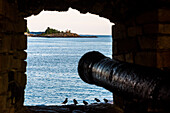 Cannon with birds, recreational area and fortress on the island of Suomenlinna off Helsinki, Finland