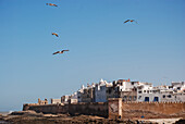 Essaouira landscape of the harbour and its ancient fortress, Morocco