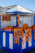 Orangensaft-Stand am Hafen von Essaouira, Marokko