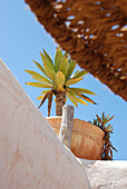 Detail of the roof top of a restaurant in Essouira popular district inside the fortress of the harbour, Morocco