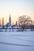 Winter in Iphofen, Lower Franconia, Franconia, Bavaria, Germany, Europe