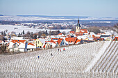 Winter in the vineyards of Wiesenbronn, Lower Franconia, Franconia, Bavaria, Germany, Europe